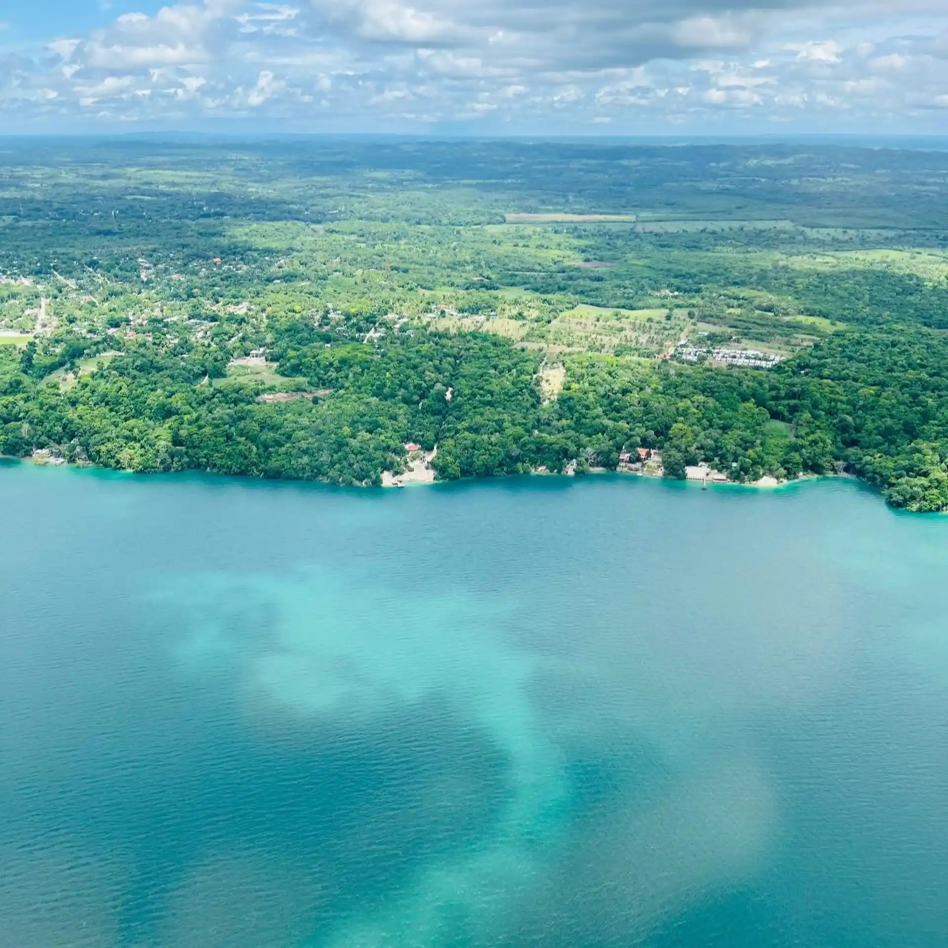 Ruta Selvática de los Reyes Mayas cover