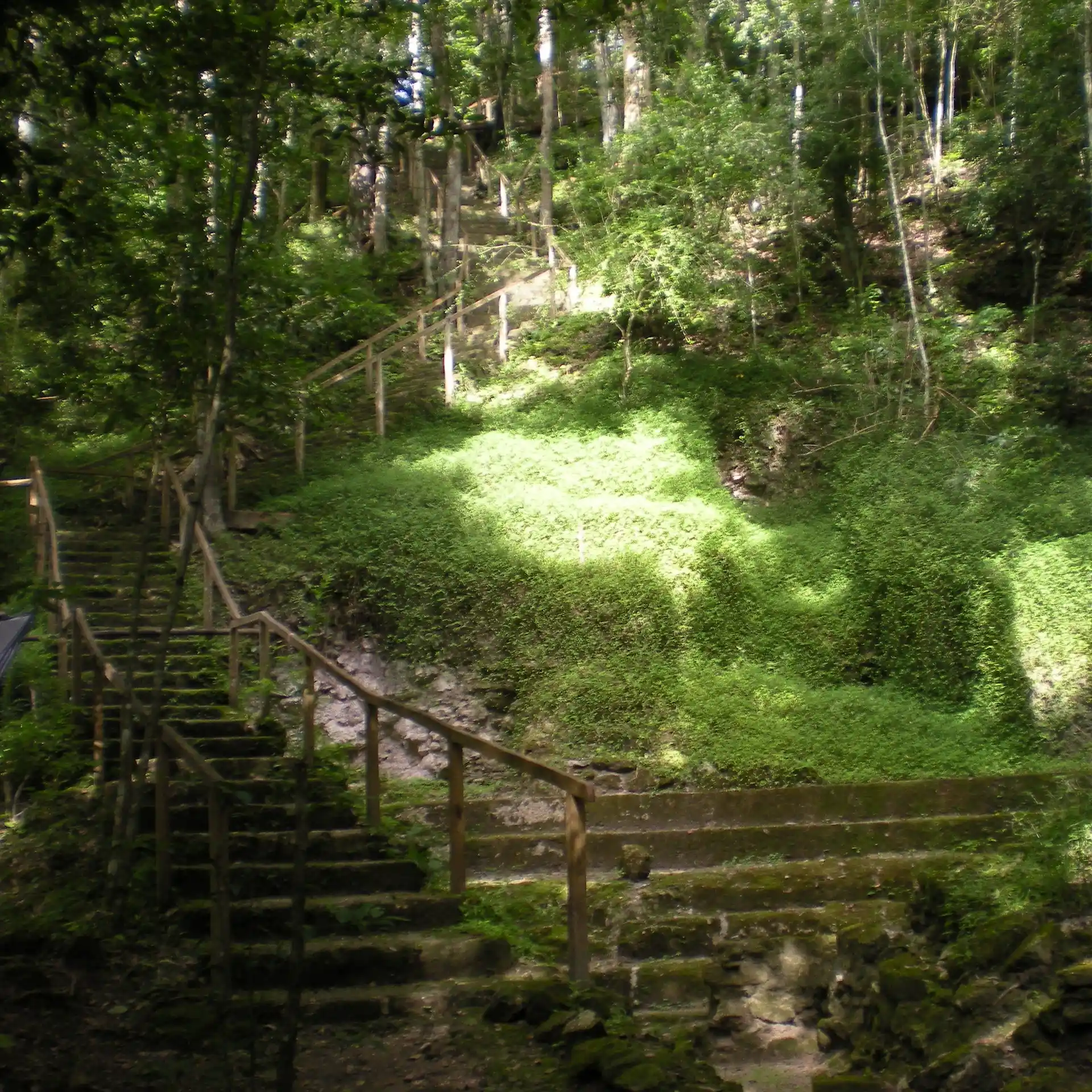 Roundtrip a El Mirador cover