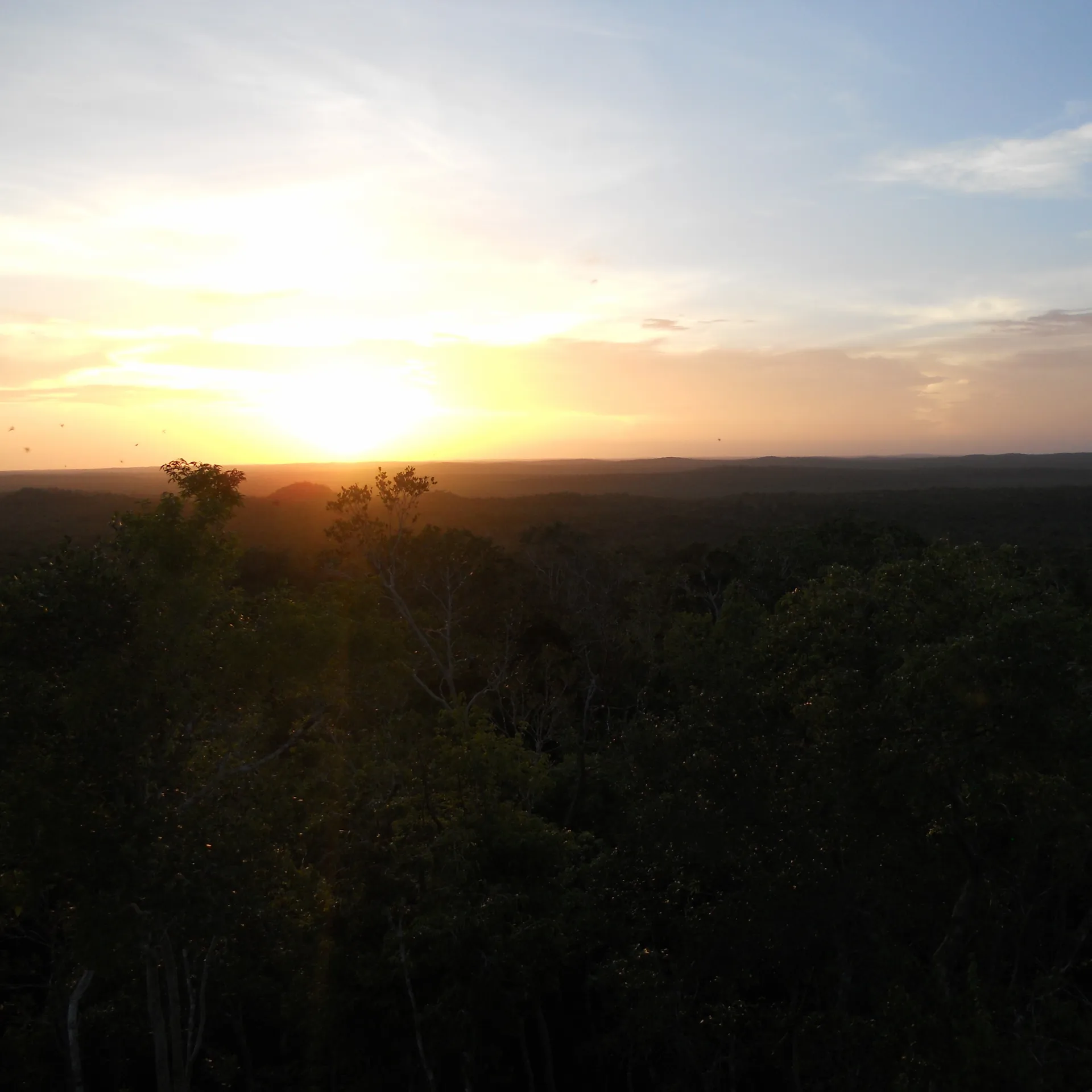 Viaje VIP a El Mirador cover